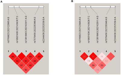 The Relationship Between Environmental Exposure and Genetic Architecture of the 2q33 Locus With Esophageal Cancer in South Africa